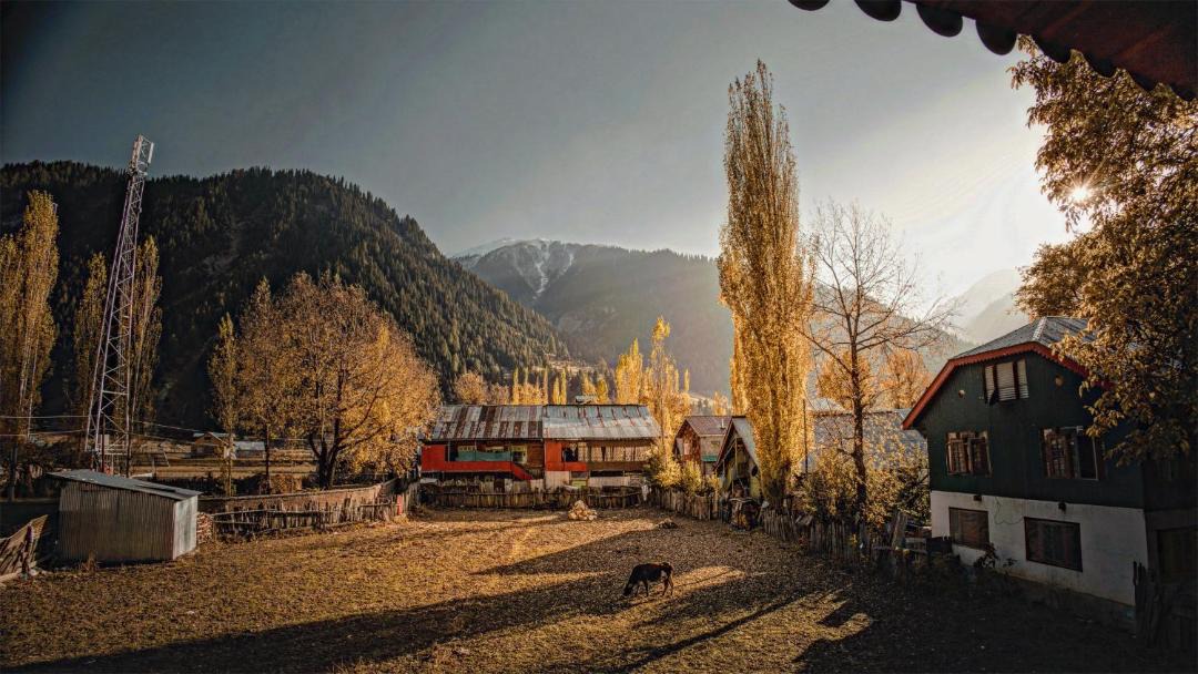 Photo of Others in Gulmarg