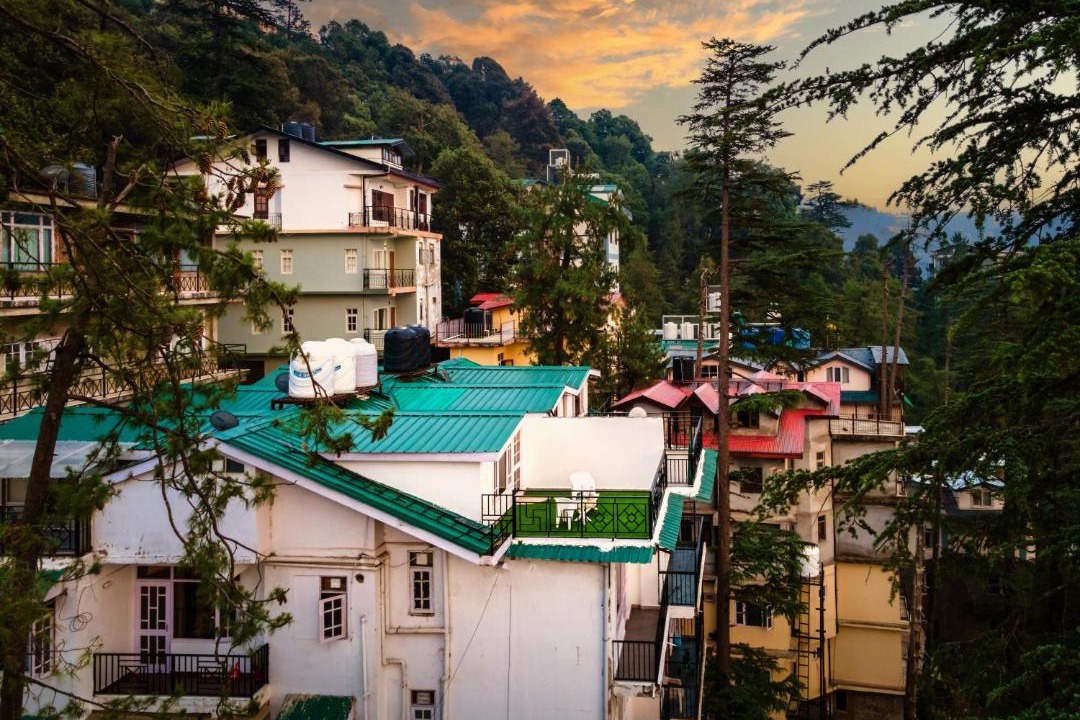 Photo of Others in Shimla