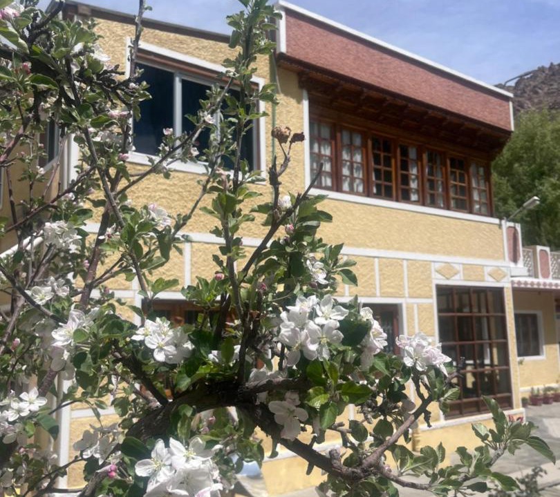 Photo of Others in Leh