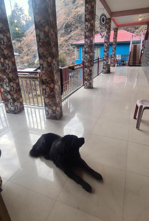 Photo of Others in Kasol