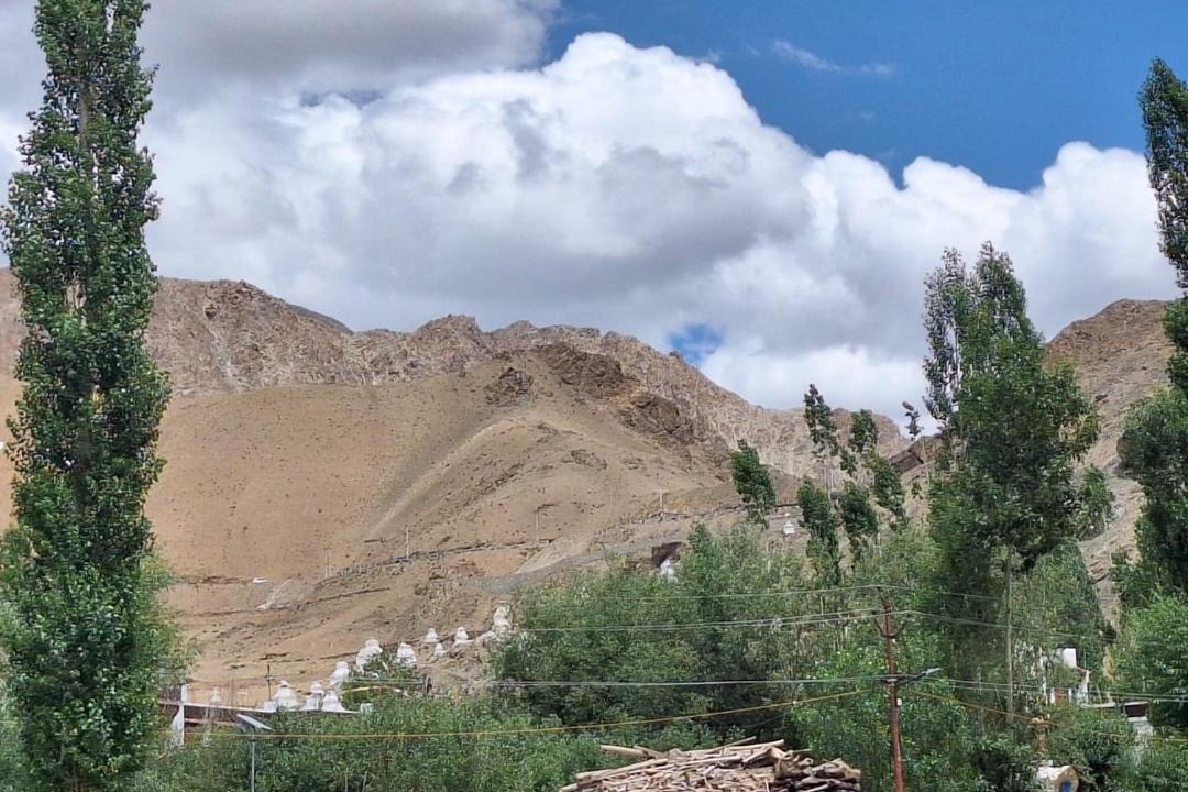 Photo of Others in Leh