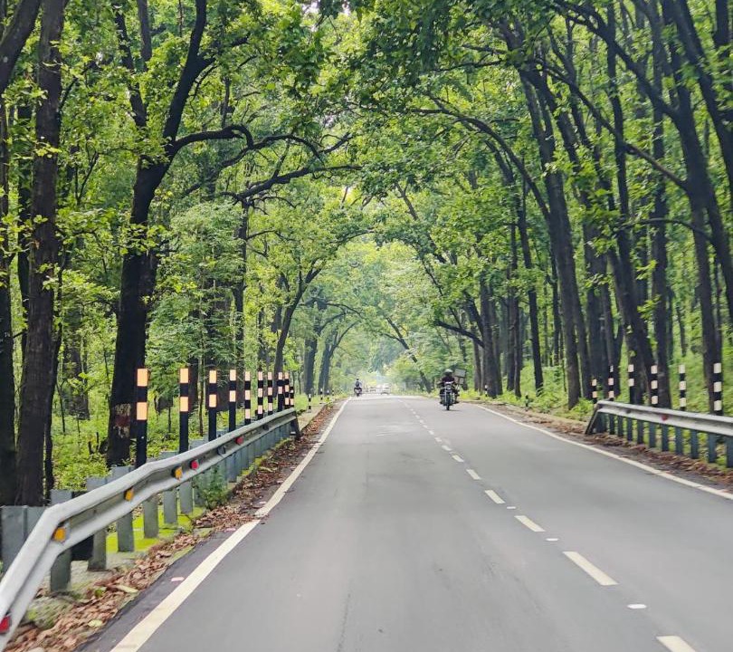 Photo of Others in Dehradun