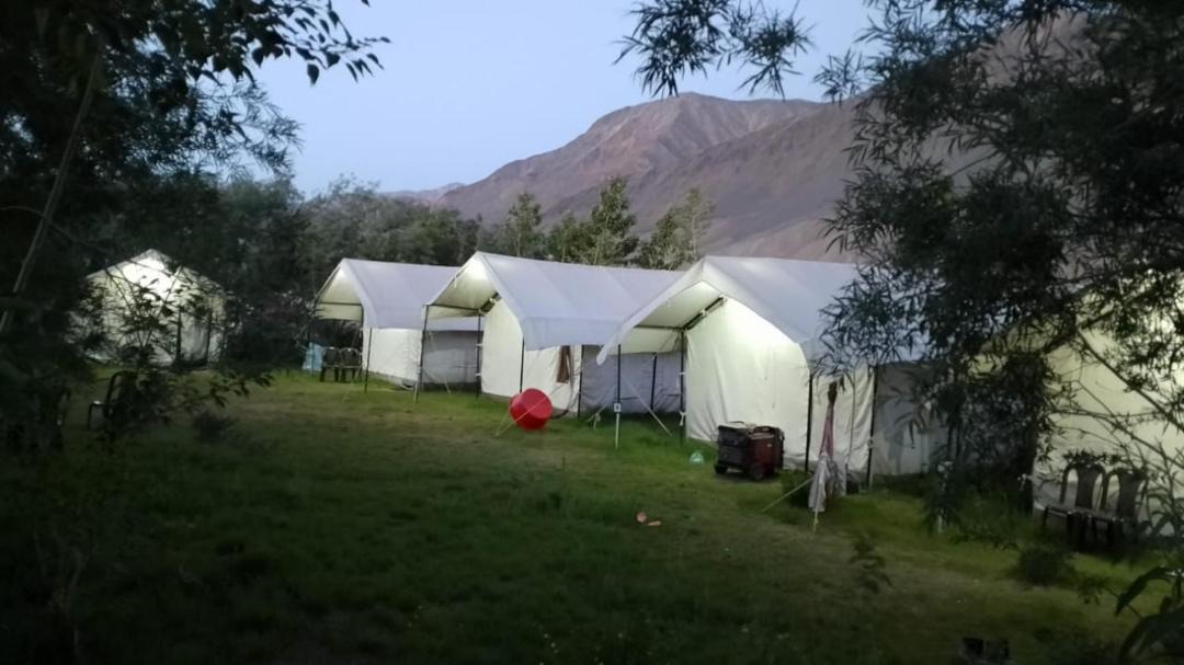 Photo of Others in Kargil