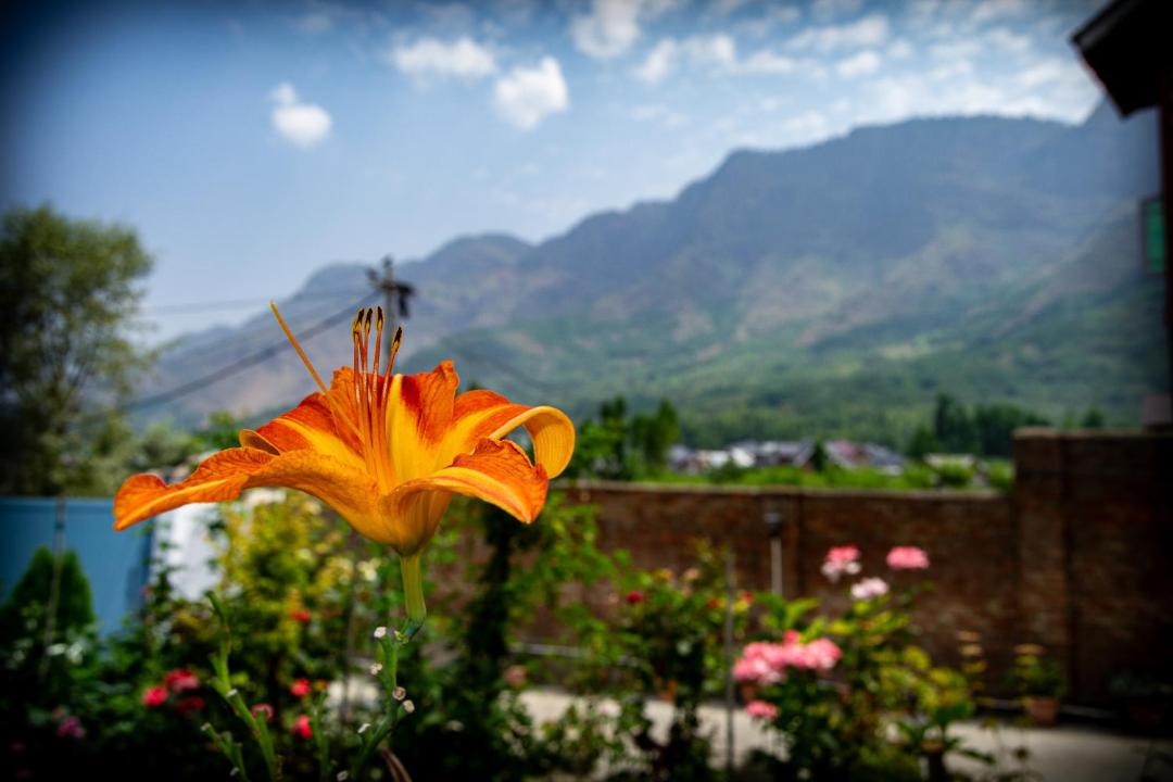 Photo of Others in Nishat-Shalimar