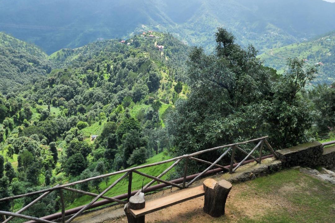 Photo of Others in Shimla