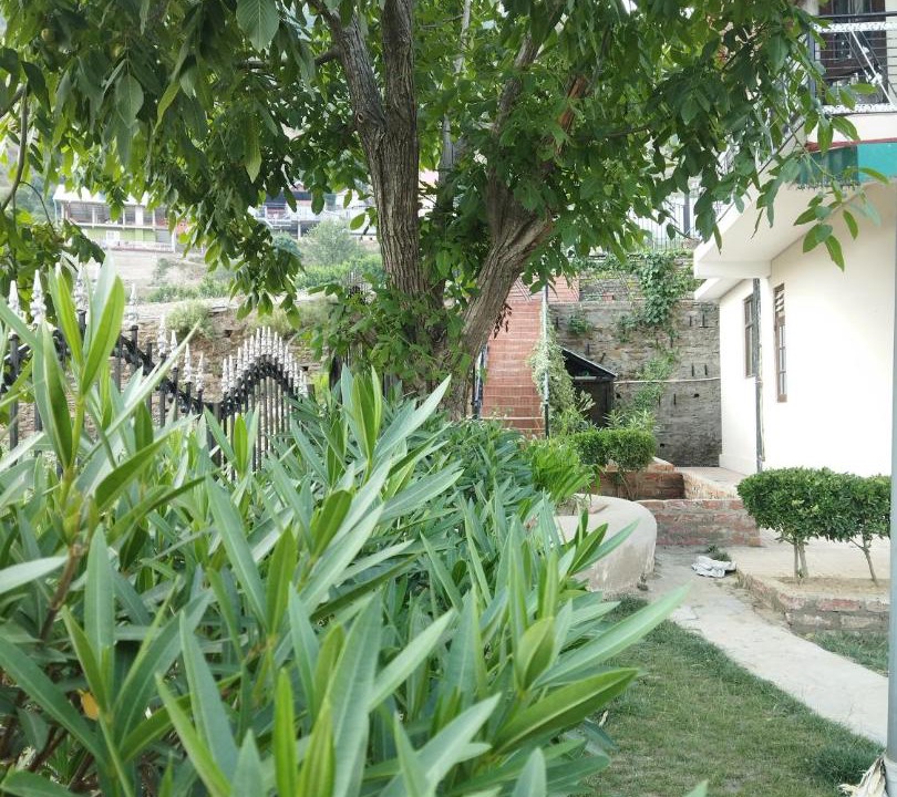 Photo of Others in Shilon Bagh