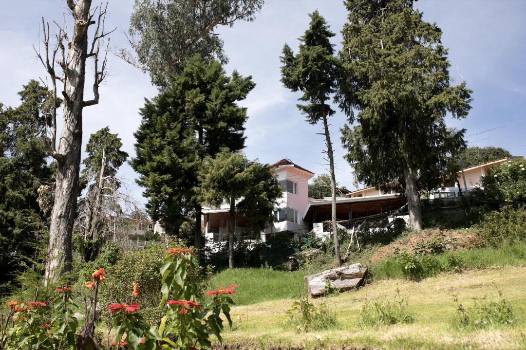 Photo of Others in Kodaikanal