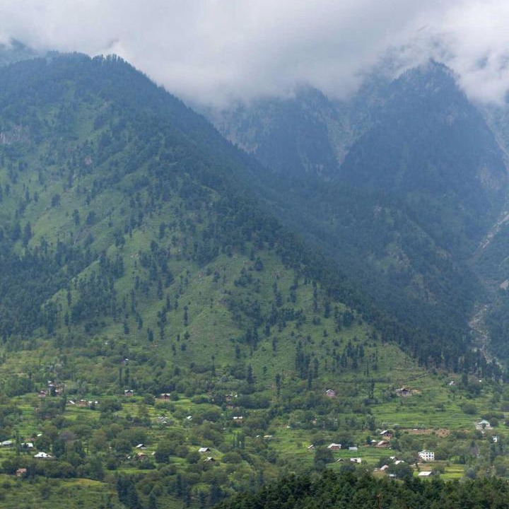 Photo of Others in Pahalgam