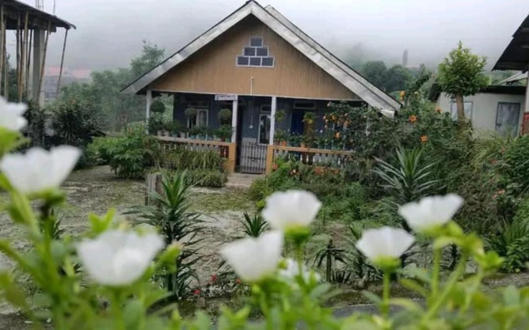 Photo of Others in Kumai