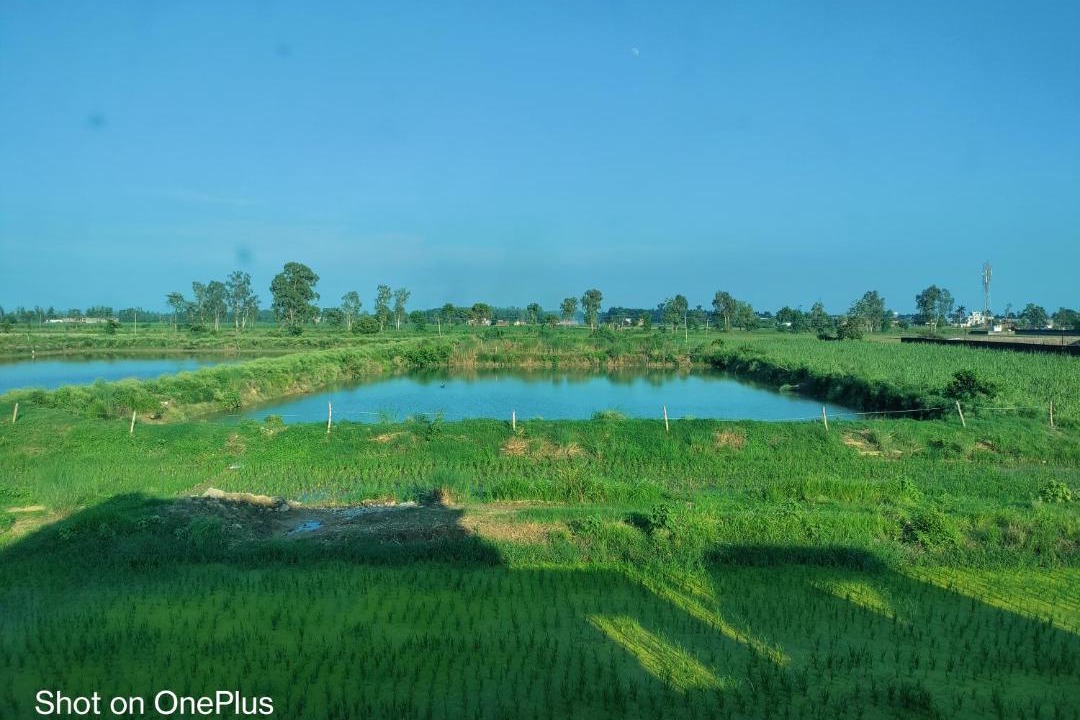 Photo of Others in Bajpur