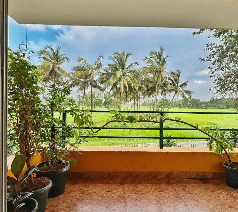 Photo of Others in Fatrade