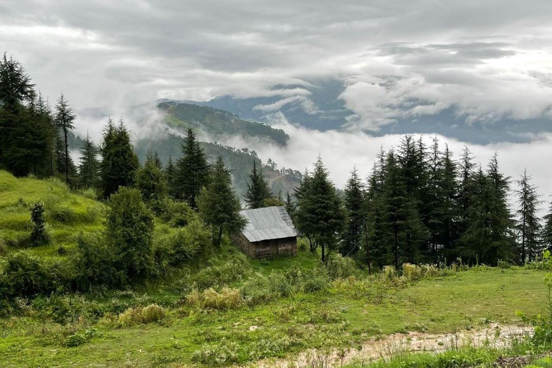 Photo of Others in Khajjiar