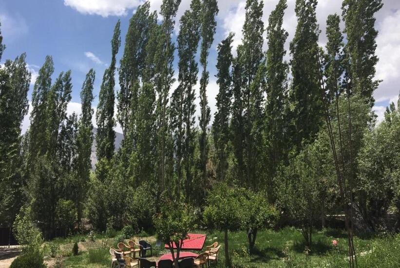 Photo of Others in Nubra Valley