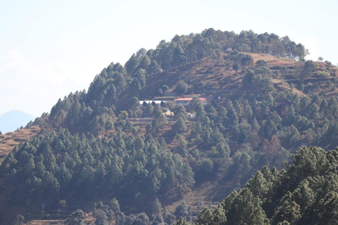 Photo of Others in Ranikhet