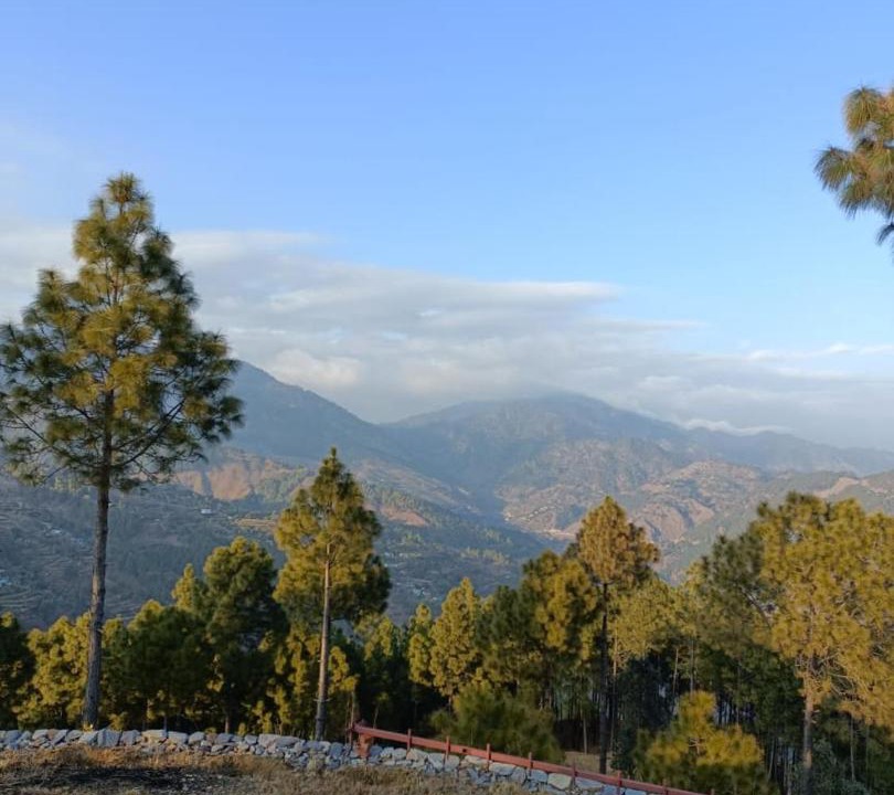 Photo of Others in Ranikhet