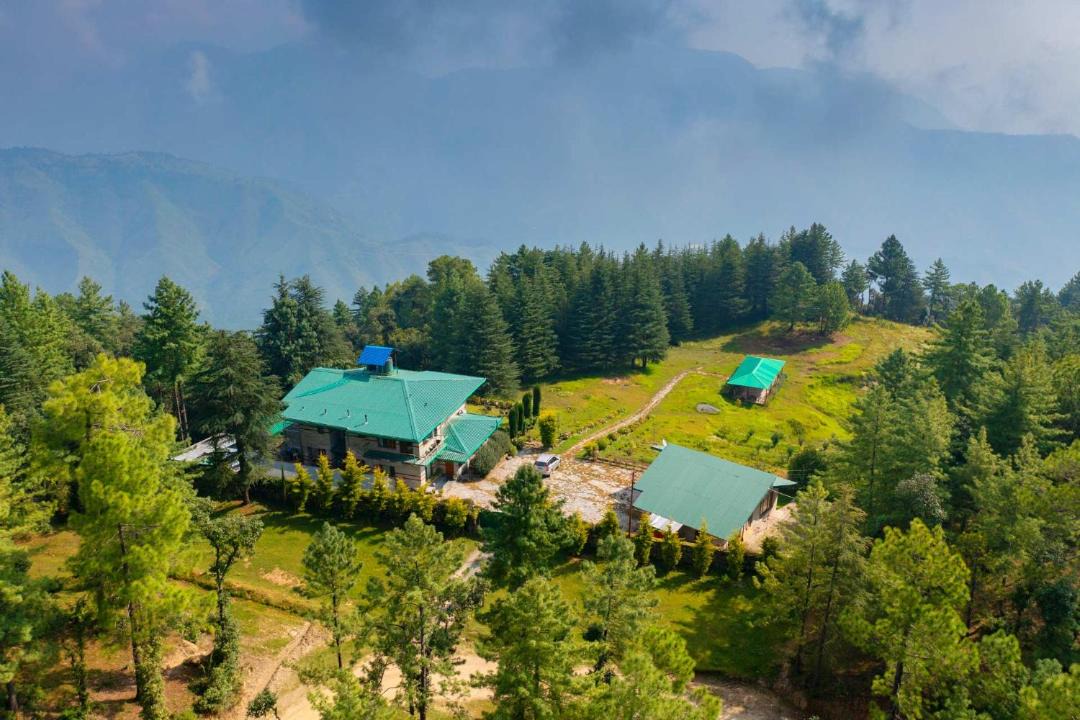 Photo of Others in Shimla