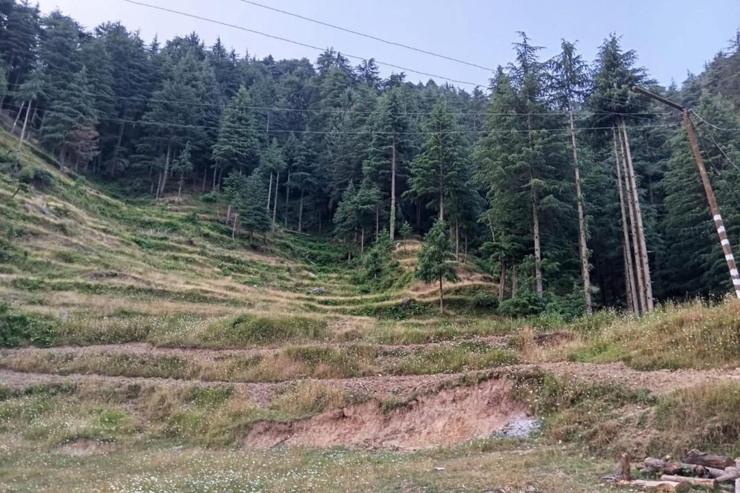 Photo of Others in Dalhousie