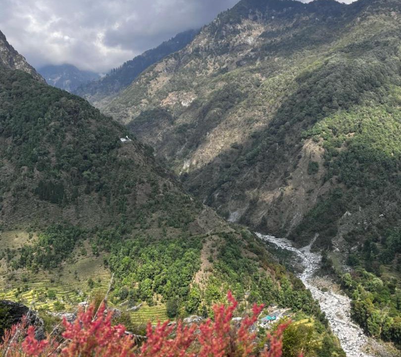 Photo of Others in Dharamshala