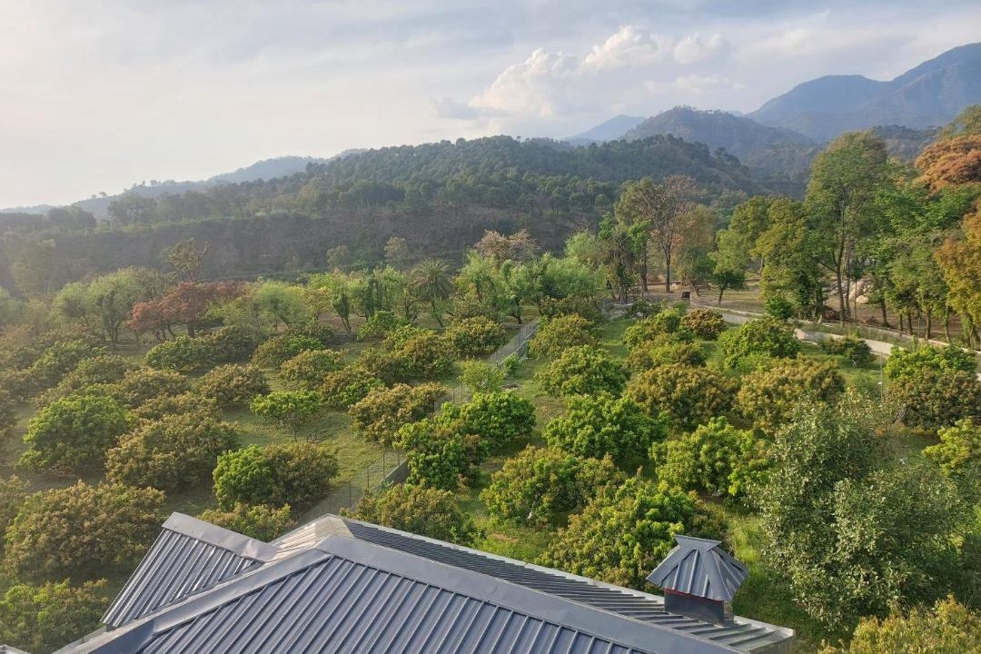 Photo of Others in Dharamshala