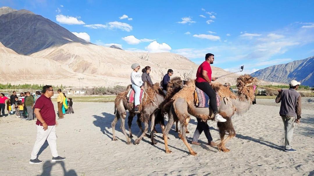 Photo of Others in Nubra Valley