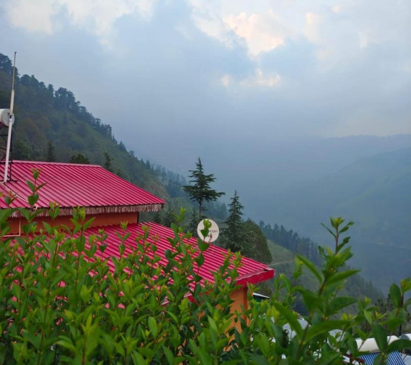 Photo of Others in Shimla