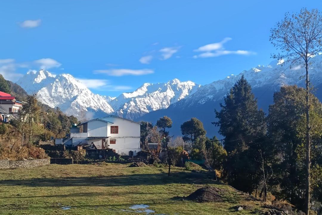 Photo of Others in Munsyari