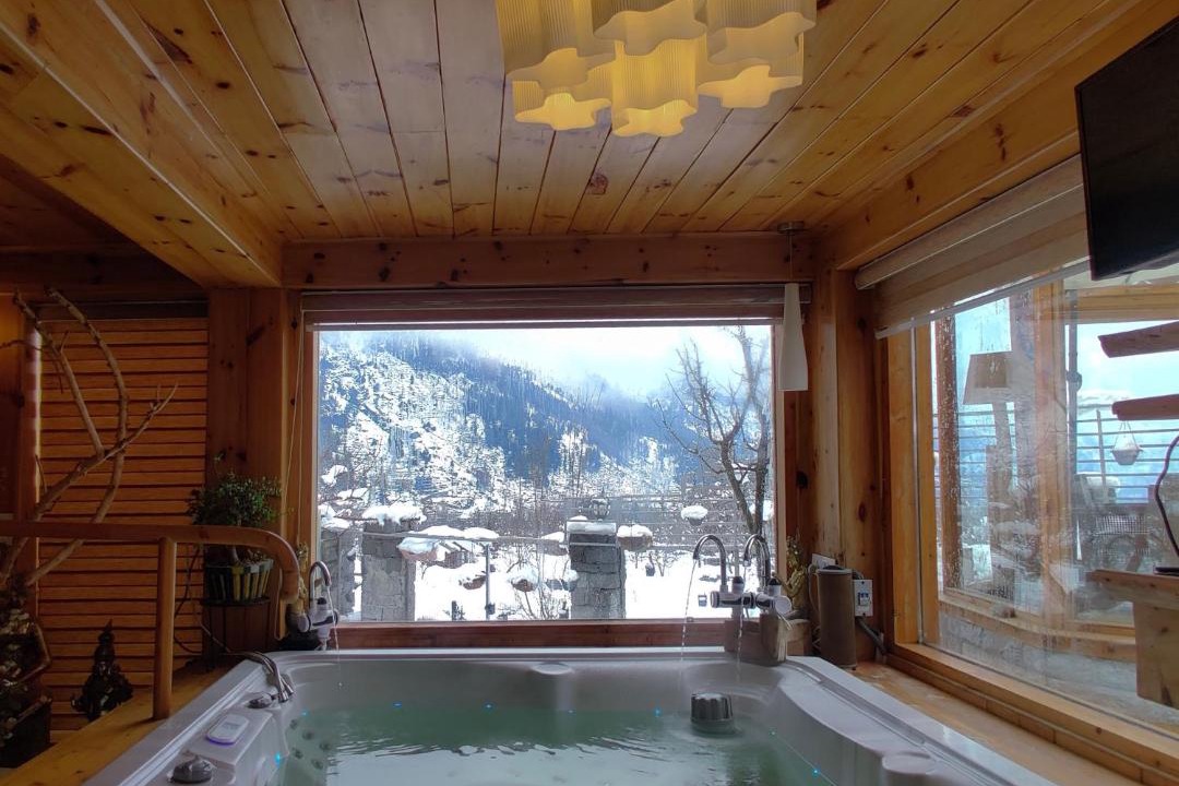 Photo of Others in Manali