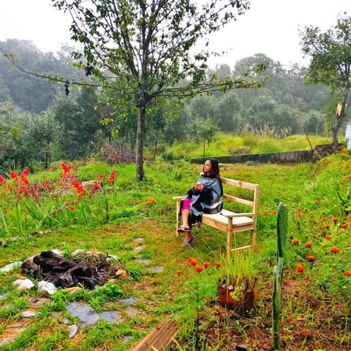 Photo of Others in Pithoragarh