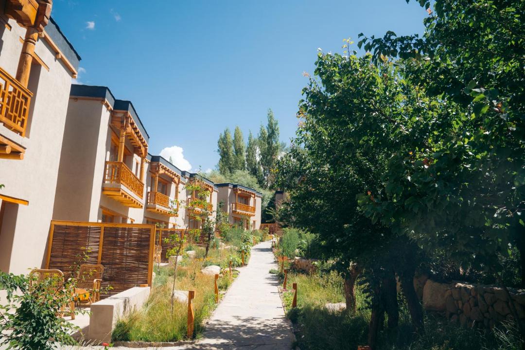 Photo of Others in Leh