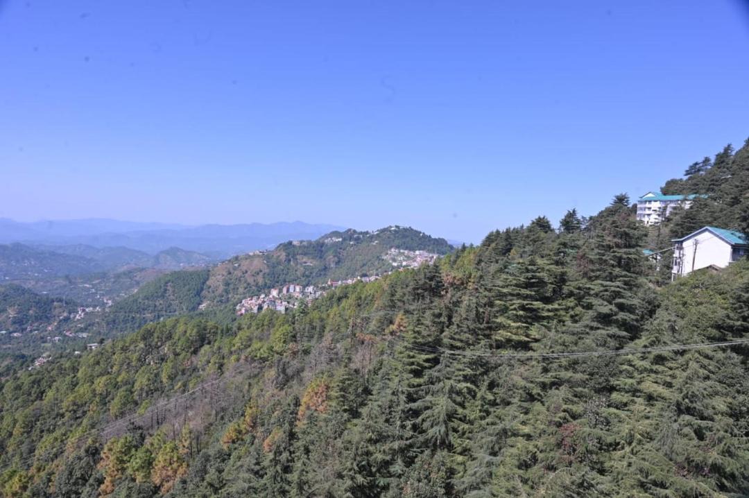 Photo of Others in Shimla