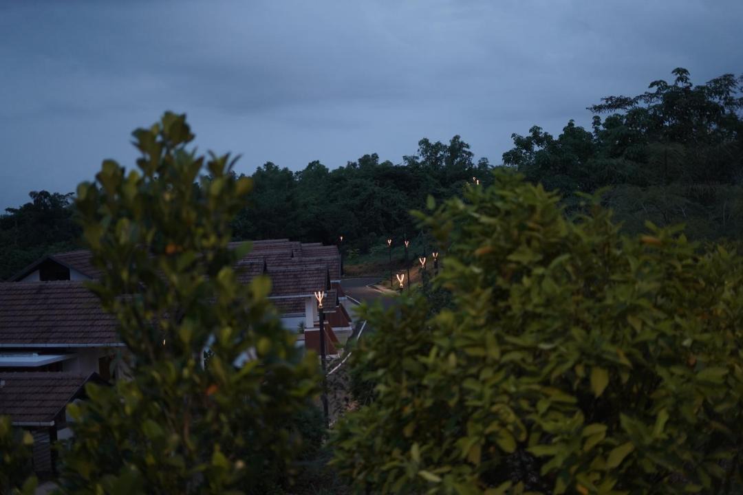 Photo of Others in Talipparamba