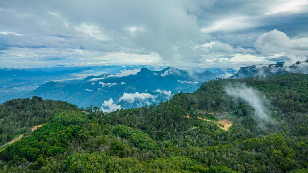 Photo of Others in Kodaikanal