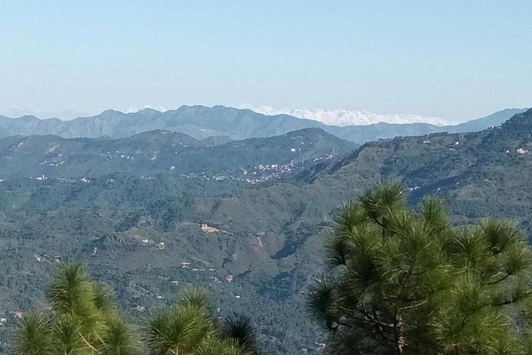 Photo of Outdoor in Shoghi
