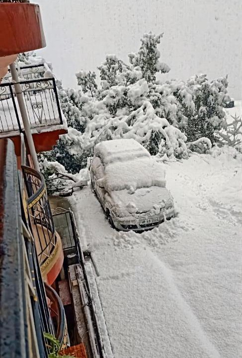 Photo of Others in Shimla