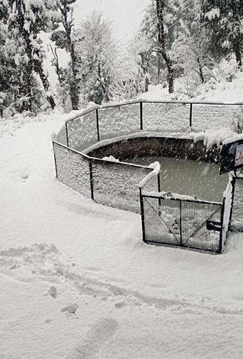 Photo of Others in Shimla