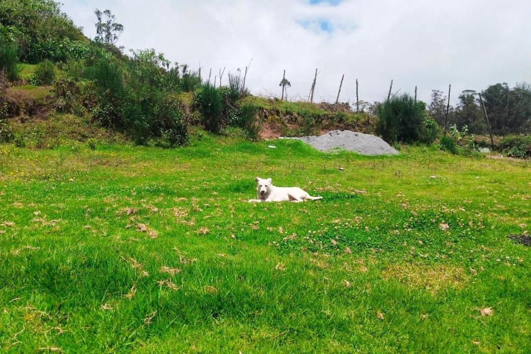Photo of Others in Ooty