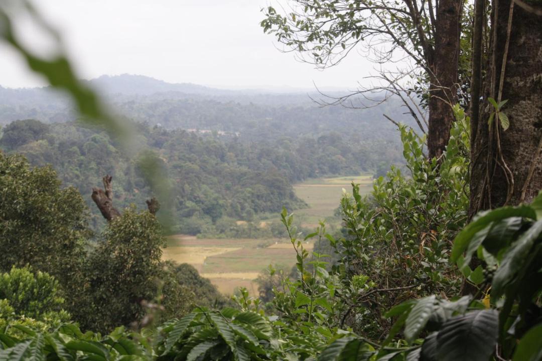 Photo of Others in Madikeri