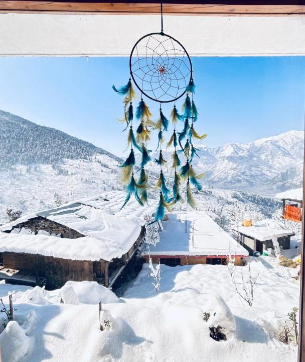 Photo of Others in Manali