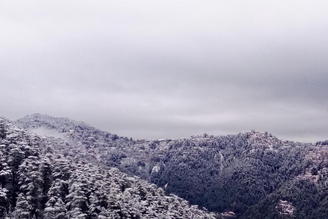 Photo of Others in Shimla
