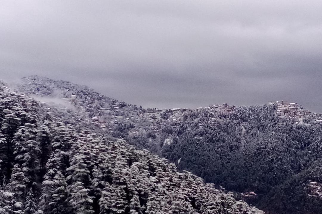 Photo of Others in Shimla
