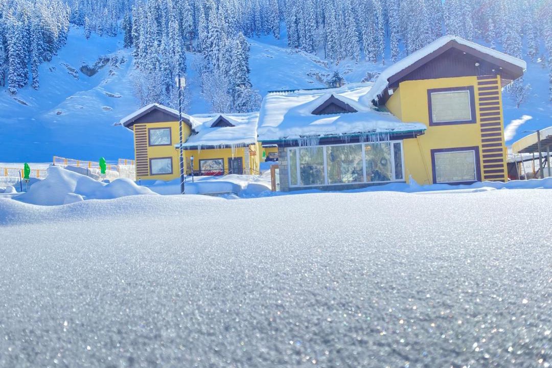 Photo of Others in Sonamarg