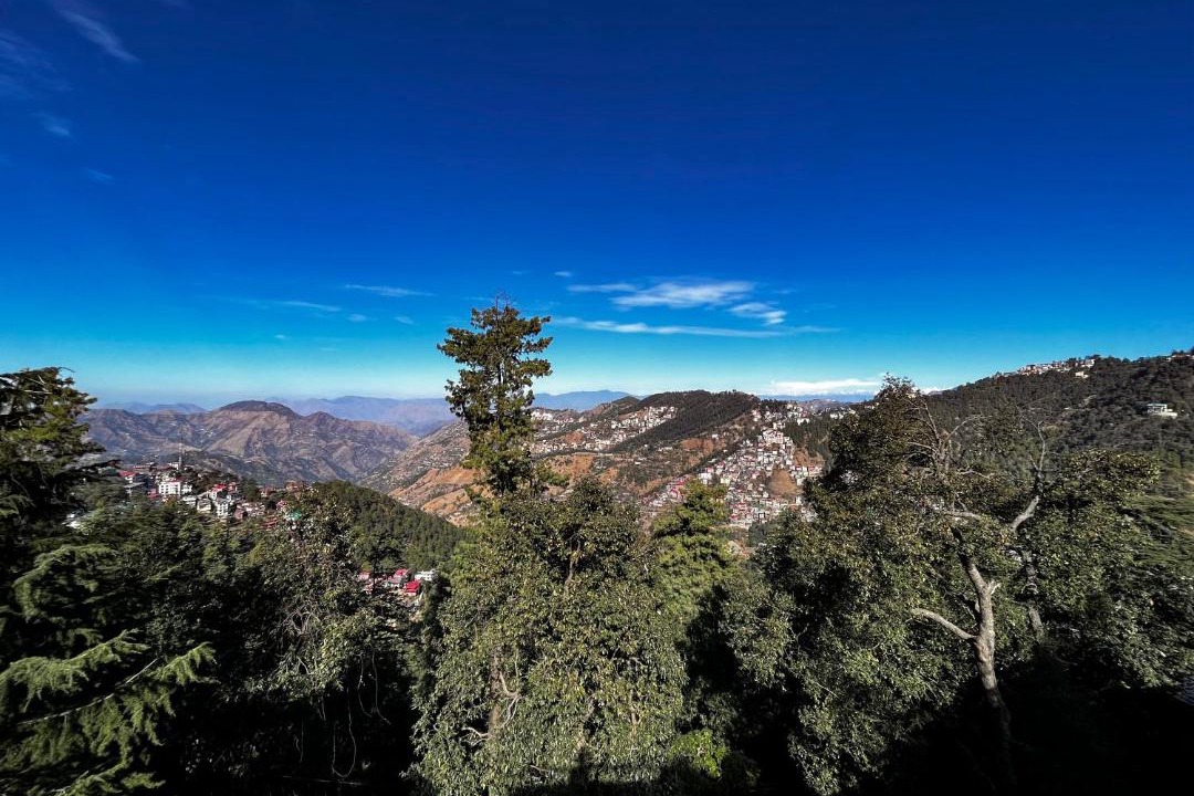 Photo of Others in Shimla