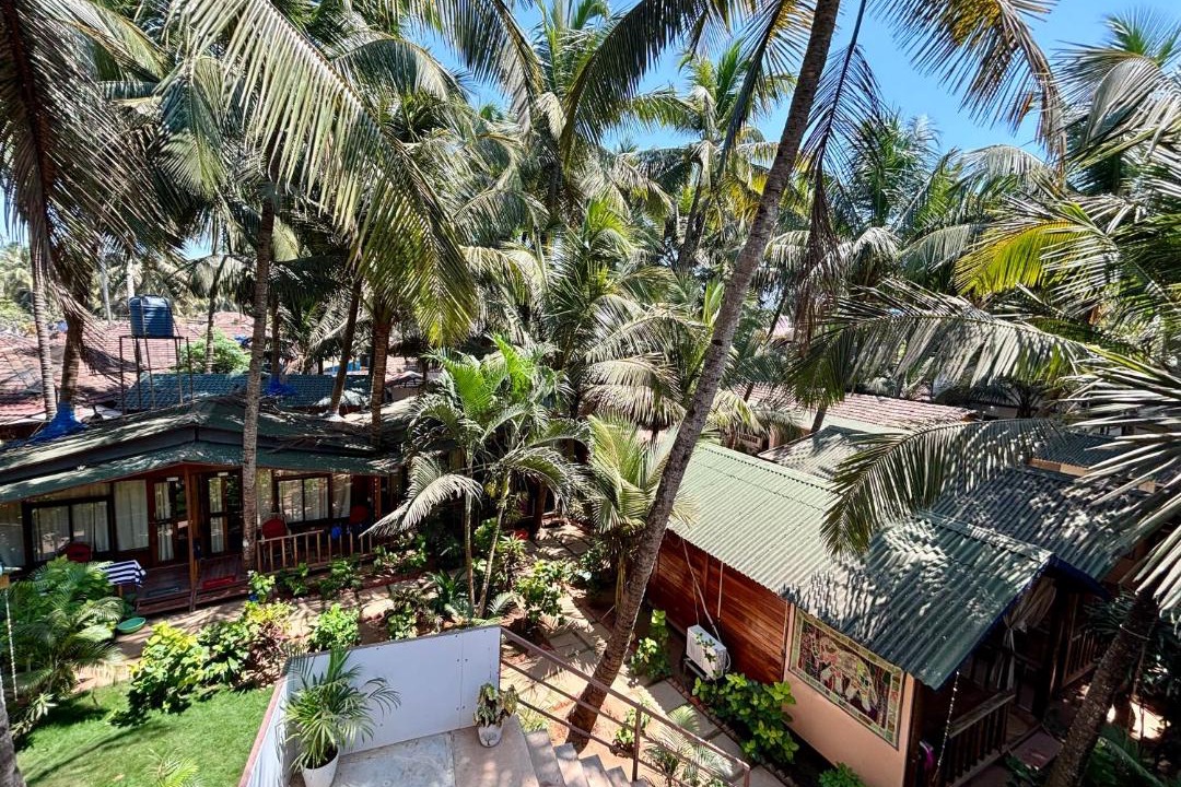 Photo of Others in Agonda
