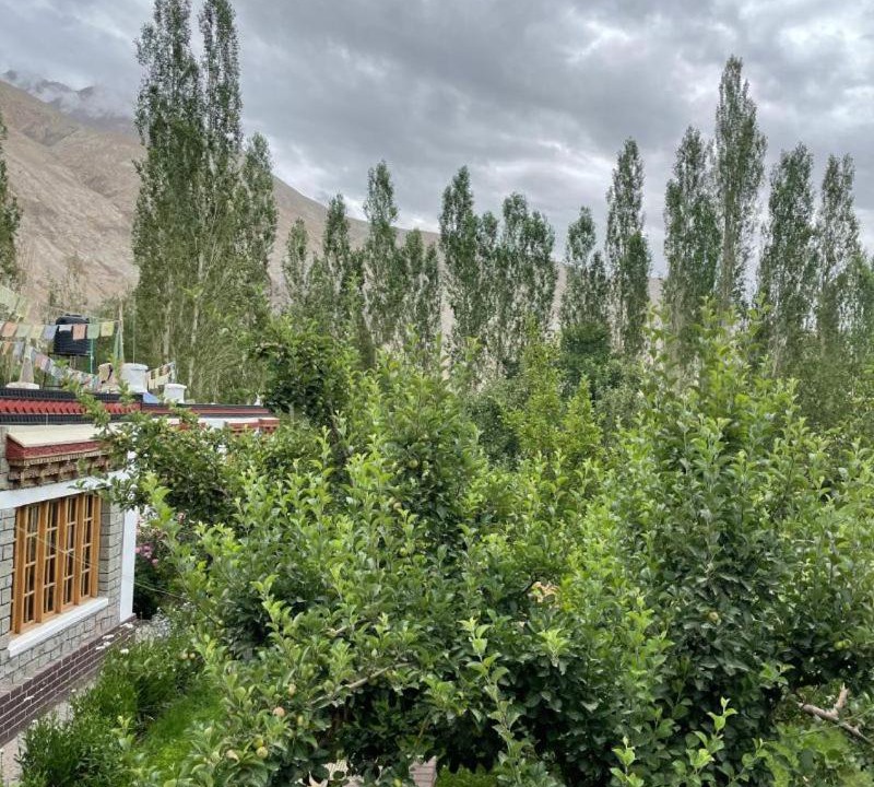 Photo of Others in Nubra Valley