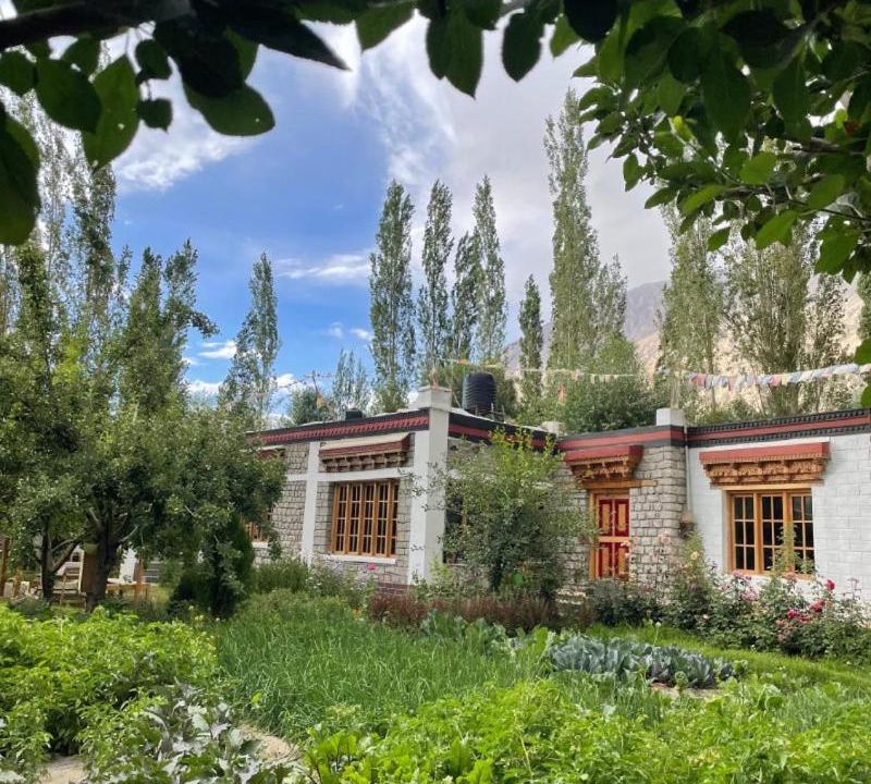 Photo of Others in Nubra Valley