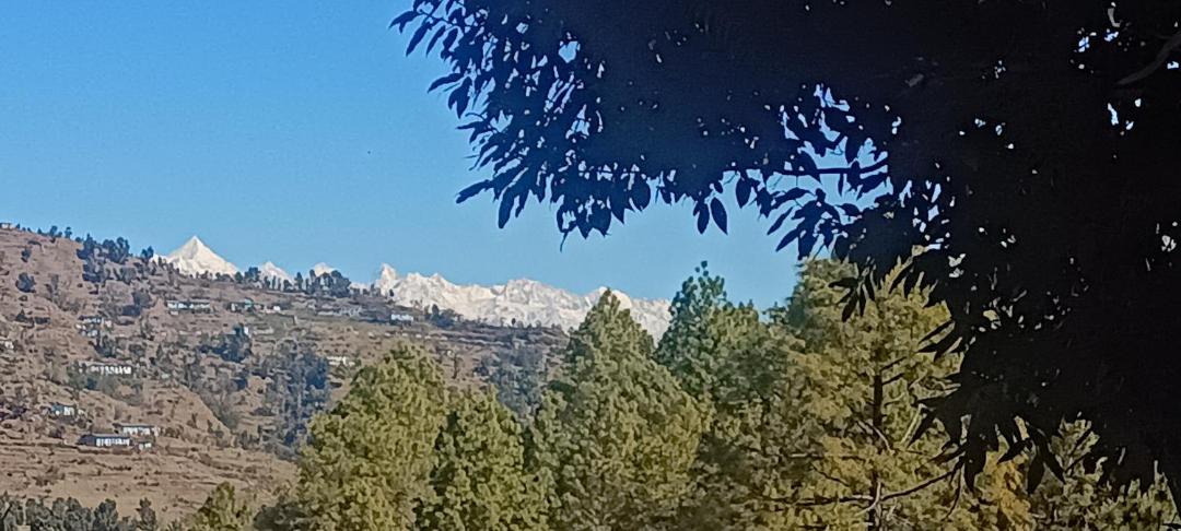 Photo of Others in Almora