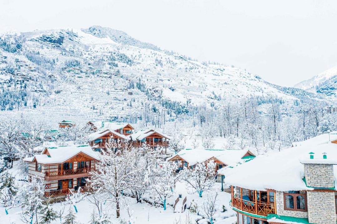 Photo of Others in Manali