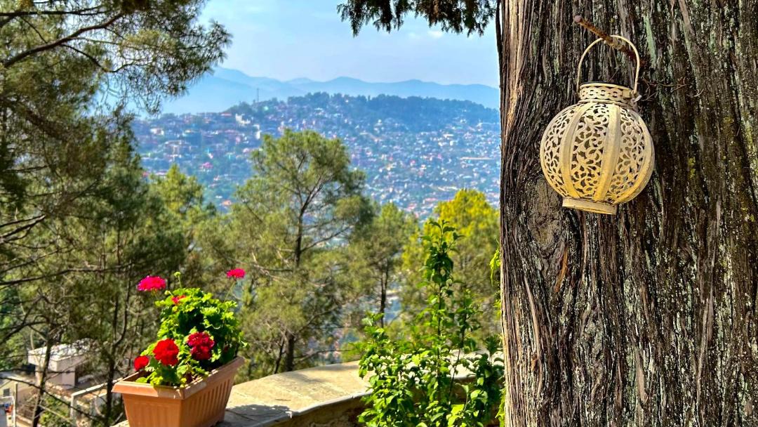 Photo of Others in Almora