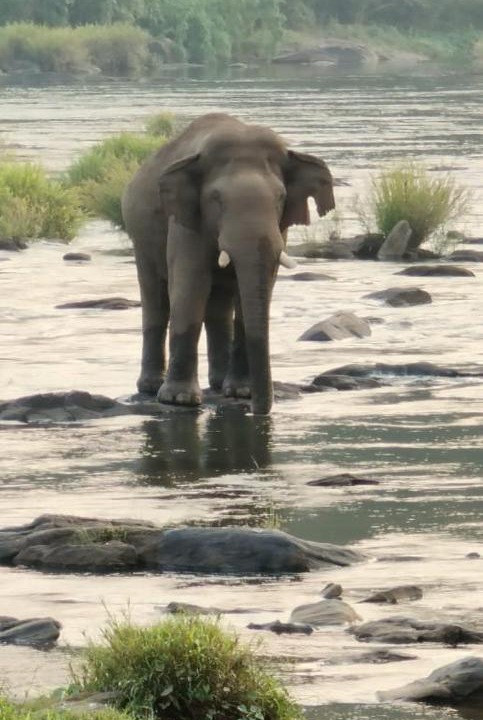 Photo of Others in Athirapally