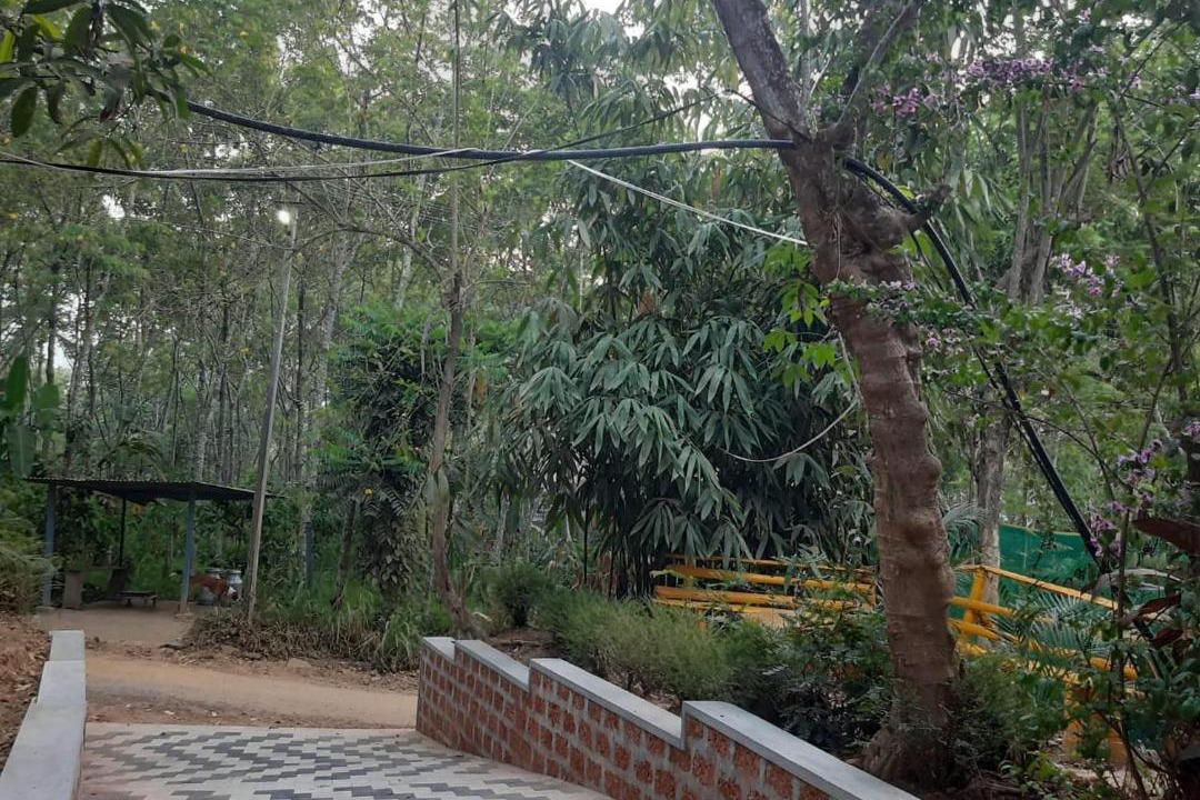 Photo of Outdoor in Mananthavady